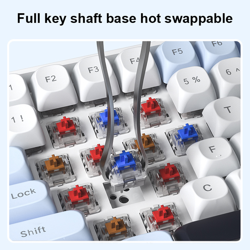 AULA S100Pro Wireless Mechanic - Gaming Keyboard Hot Swappable review and price